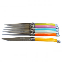 https://www.laguiole-art.com/2809-home_default/boxed-of-6-pastel-mix-steak-knives-very-trendy-made-in-france.jpg