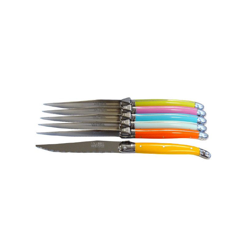 https://www.laguiole-art.com/2809-large_default/boxed-of-6-pastel-mix-steak-knives-very-trendy-made-in-france.jpg