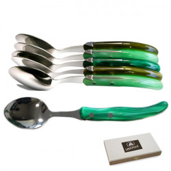 https://www.laguiole-art.com/3270-home_default/boxed-of-6-green-meadows-mix-large-spoons-excellence-very-trendy.jpg